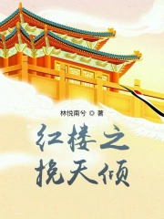 红楼之挽天倾